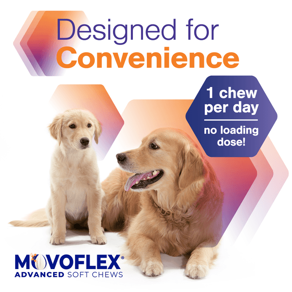 MOVOFLEX® Advanced