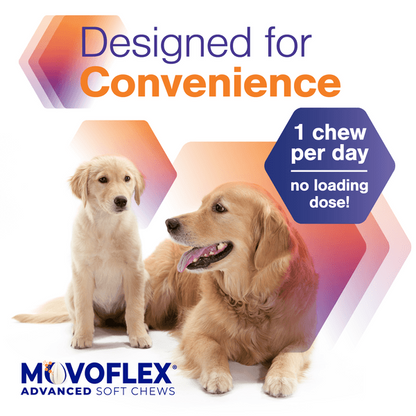 MOVOFLEX® Advanced
